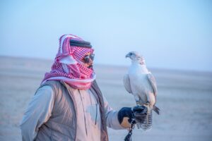 Dubai travel agent
