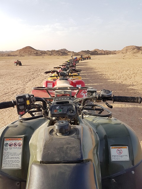 Dubai Morning Desert Safari and Quad Bike Excursion
