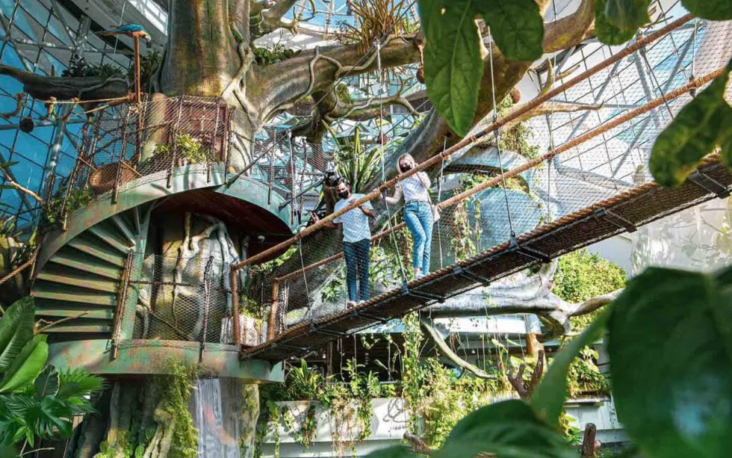 Sustainable Tourism in Dubai