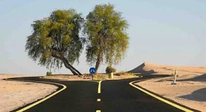 Al qudra cycling track natural and outdoor spots to visit in Dubai